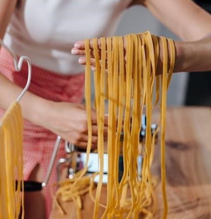 ge profile ice maker manual pdf