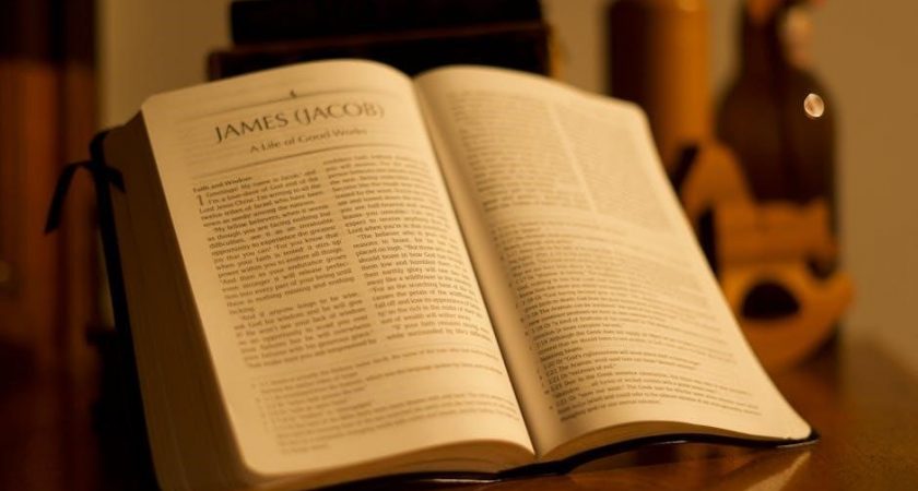 bible study on the book of daniel pdf