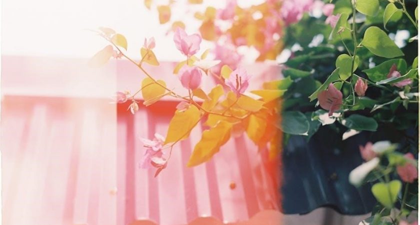 marlig fix a leak spa instructions