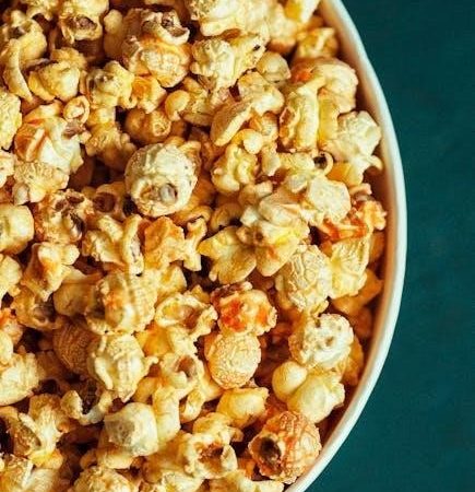 dash popcorn maker manual