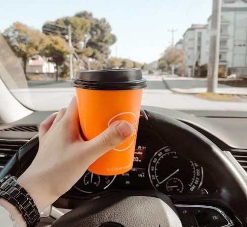 citizen eco drive watch owners manual