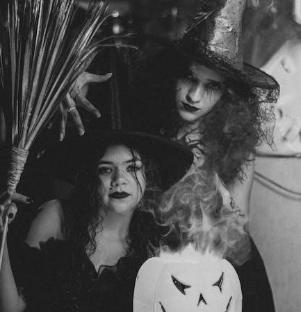 the ruthless lady’s guide to wizardry