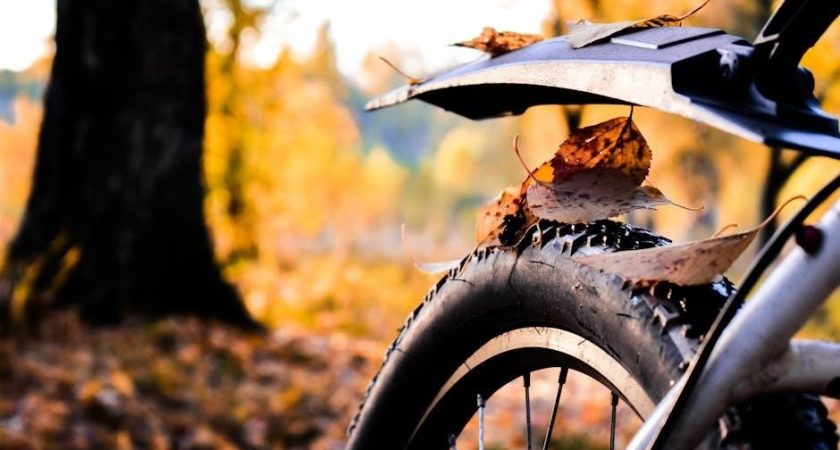 bike tire width guide