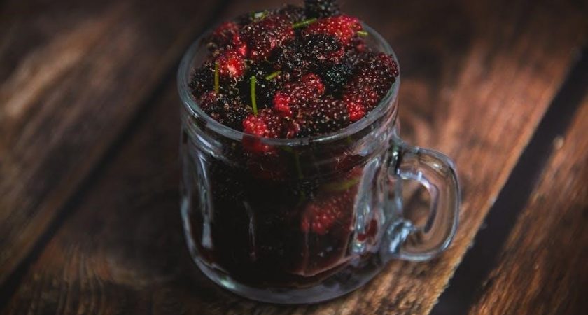 and to think i saw it on mulberry street pdf