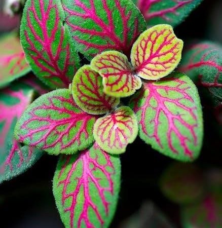 nerve desensitization exercises pdf