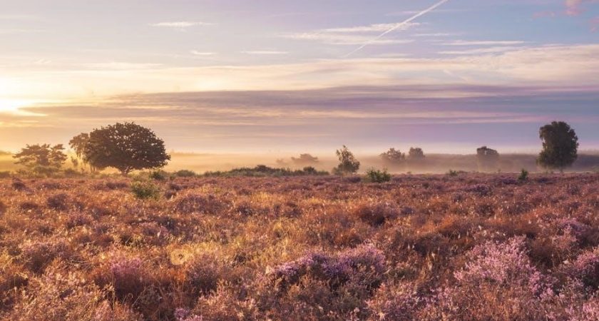 beautiful carnage heather ashley pdf