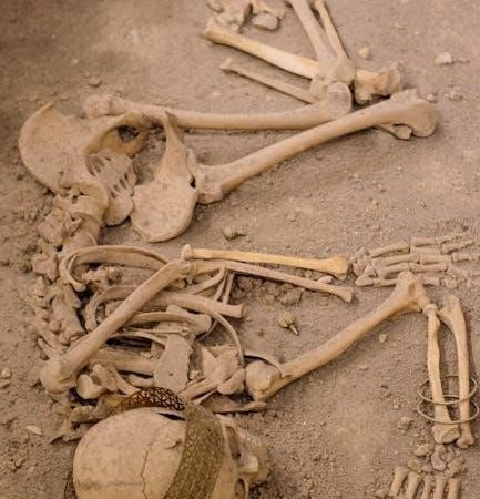 human skeleton system pdf