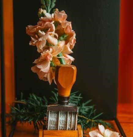 pars rice cooker instructions