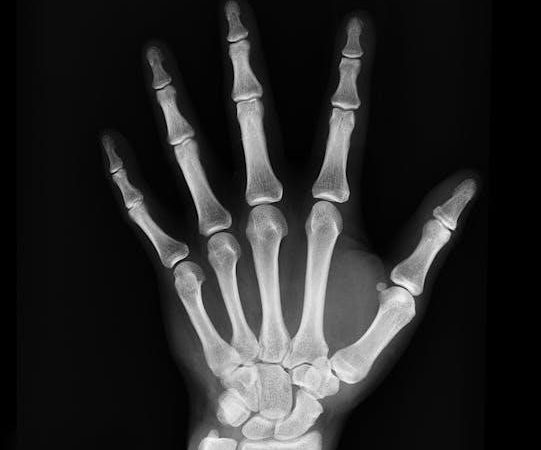 anatomy of the spirit pdf