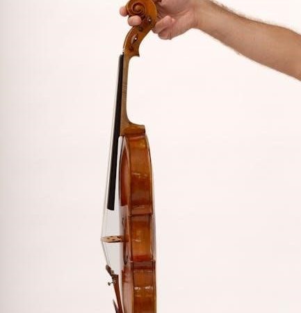 tactacam solo xtreme manual