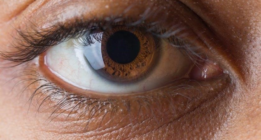 anatomy and physiology test bank pdf