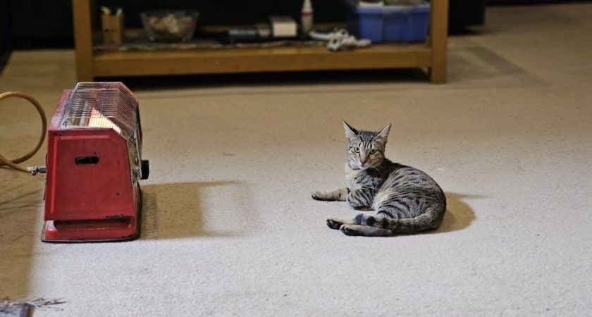 lifesmart infrared heater instruction manual