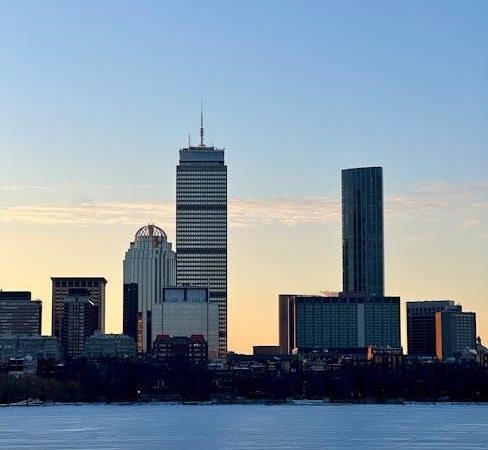 boston naming test pictures pdf