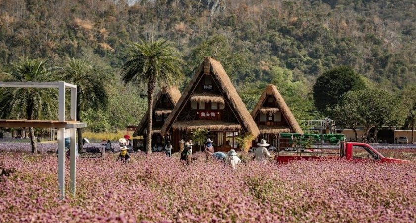 as nzs 3000 pdf free download