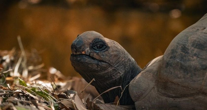 modern chunky knitting patterns free pdf free download