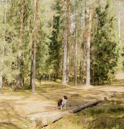 rompe el hielo libro pdf