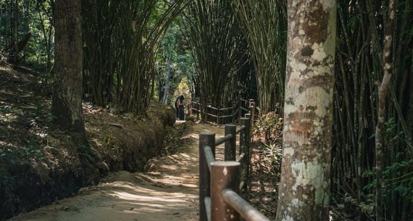 dp-4 scoring manual pdf free download