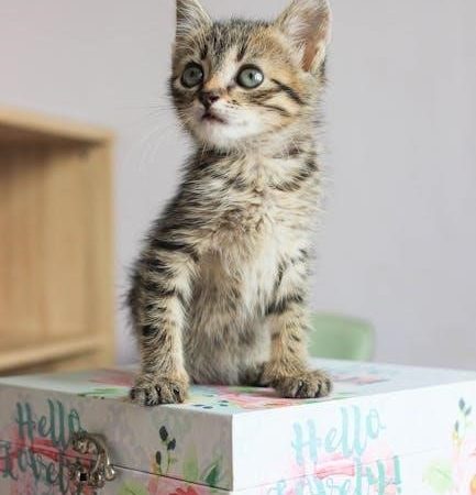 hello sunshine gift guide