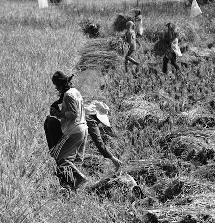 black and decker rice cooker instruction manual