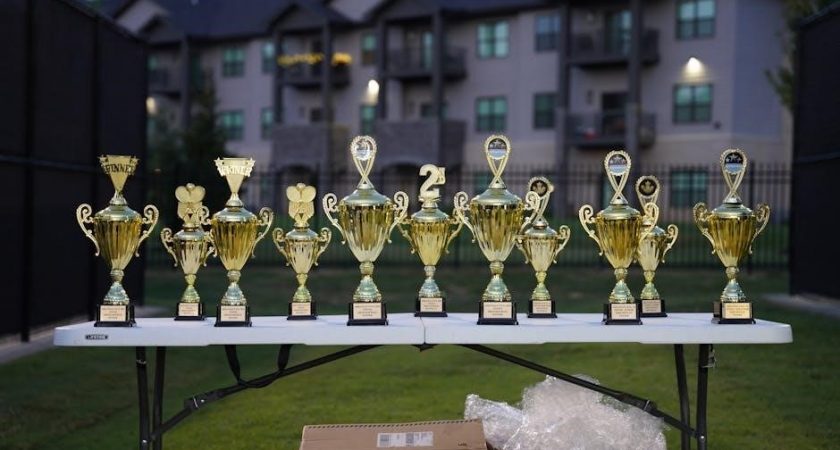 dodge these balls trophy guide