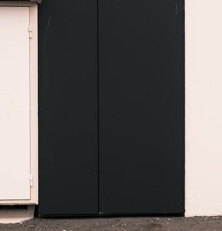 de’longhi radiator heater manual