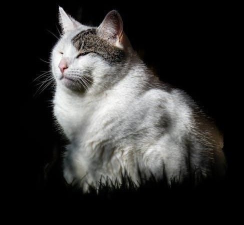 debussy arabesque no 1 pdf