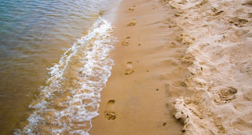 a sand county almanac pdf