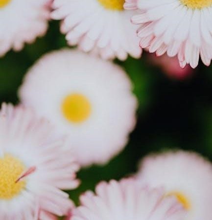 hansel and gretel story pdf