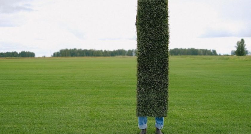 wow sod engineering leveling guide