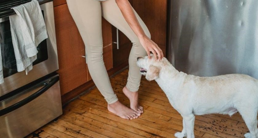 ge self-cleaning oven owner’s manual