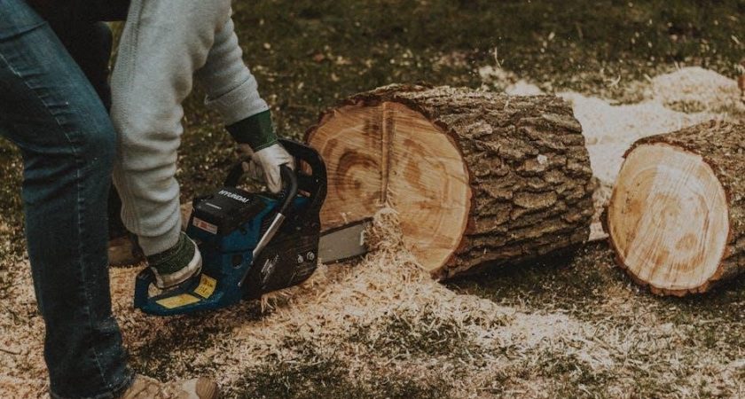 chainsaw firewood length guide