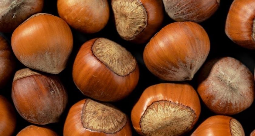 alkaline diet food chart pdf