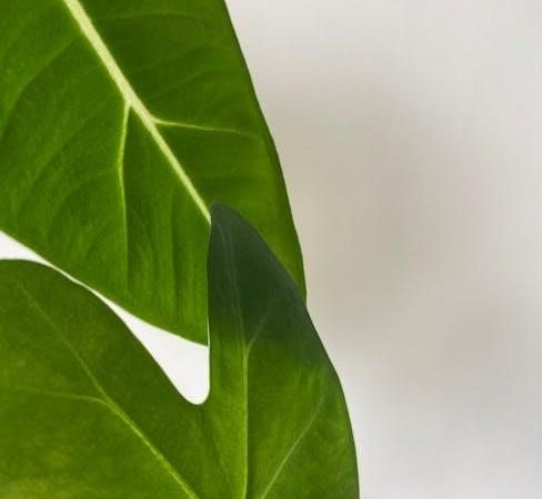 gt3000 air purifier manual