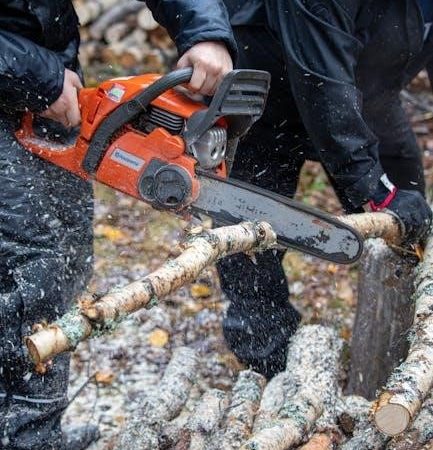 blueridge mini split manual